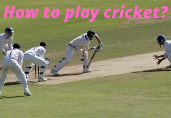 How To Play Cricket game instruction from India